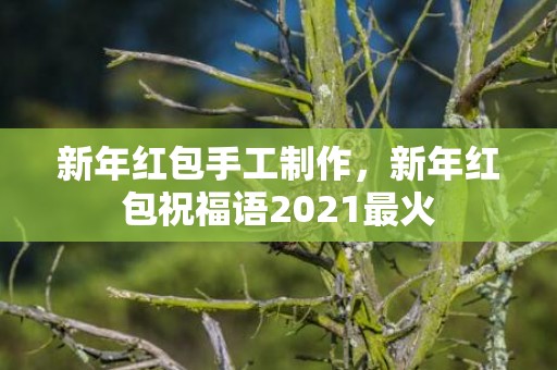新年红包手工制作，新年红包祝福语2021最火