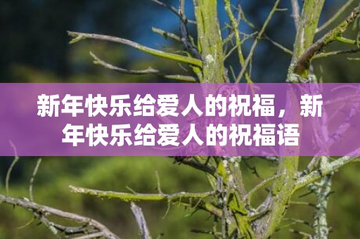 新年快乐给爱人的祝福，新年快乐给爱人的祝福语