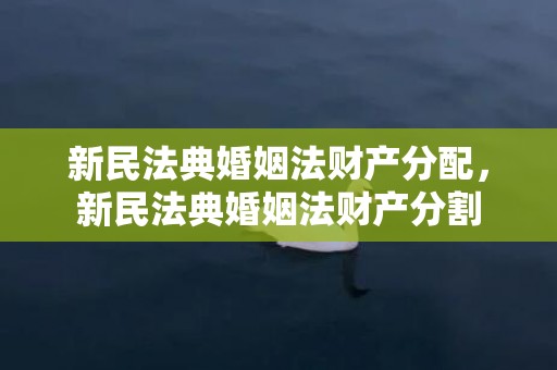 新民法典婚姻法财产分配，新民法典婚姻法财产分割