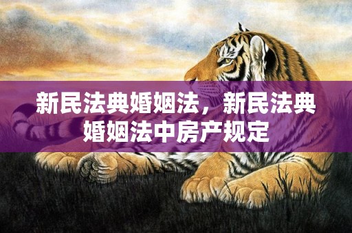 新民法典婚姻法，新民法典婚姻法中房产规定