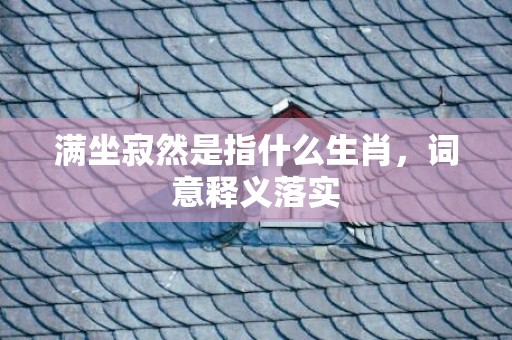 满坐寂然是指什么生肖，词意释义落实