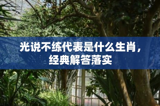 光说不练代表是什么生肖，经典解答落实