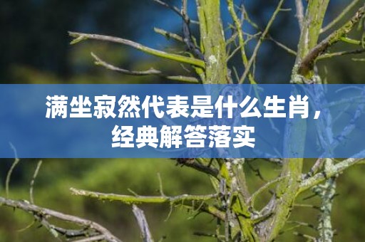 满坐寂然代表是什么生肖，经典解答落实