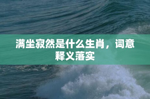 满坐寂然是什么生肖，词意释义落实