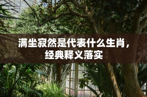 满坐寂然是代表什么生肖，经典释义落实