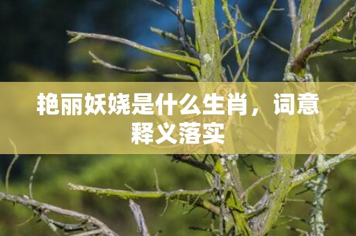 艳丽妖娆是什么生肖，词意释义落实