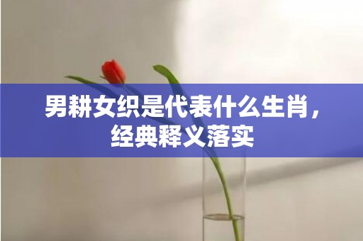 男耕女织是代表什么生肖，经典释义落实
