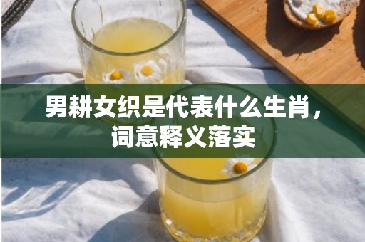 男耕女织是代表什么生肖，词意释义落实