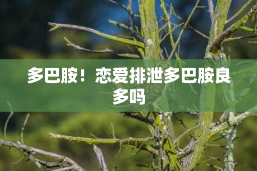 多巴胺！恋爱排泄多巴胺良多吗