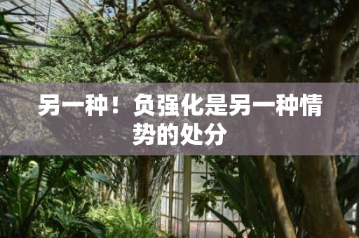 另一种！负强化是另一种情势的处分