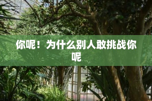 你呢！为什么别人敢挑战你呢