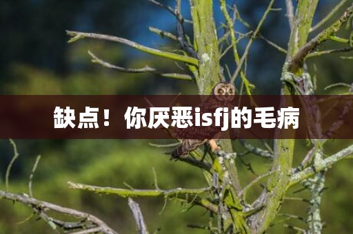 缺点！你厌恶isfj的毛病