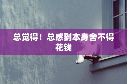 总觉得！总感到本身舍不得花钱