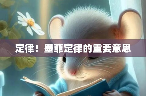 定律！墨菲定律的重要意思