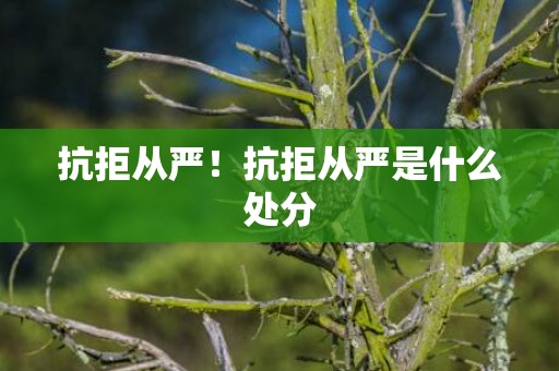 抗拒从严！抗拒从严是什么处分
