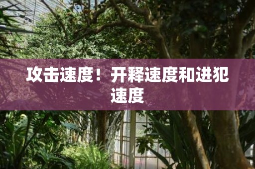 攻击速度！开释速度和进犯速度