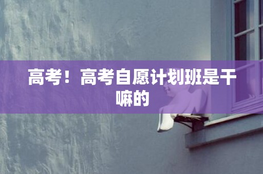 高考！高考自愿计划班是干嘛的