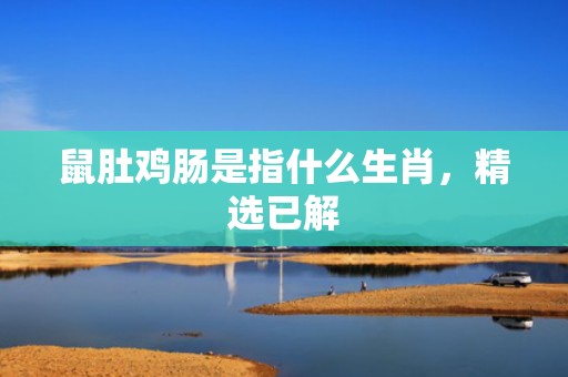 鼠肚鸡肠是指什么生肖，精选已解