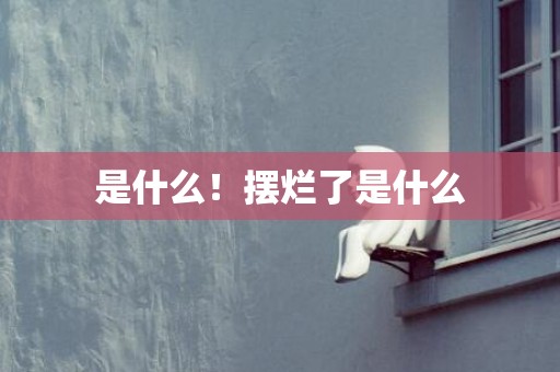 是什么！摆烂了是什么