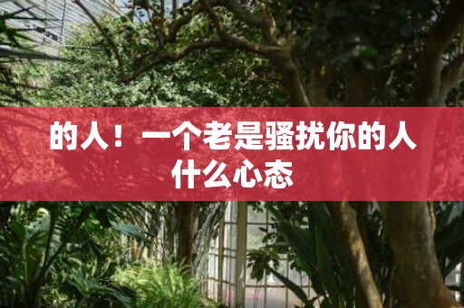 的人！一个老是骚扰你的人什么心态
