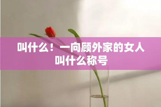 叫什么！一向顾外家的女人叫什么称号