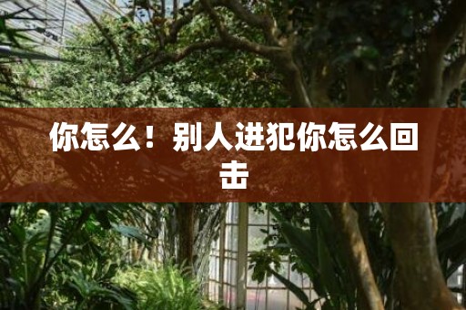 你怎么！别人进犯你怎么回击