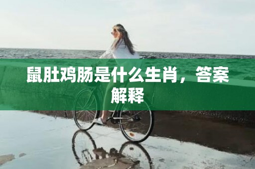 鼠肚鸡肠是什么生肖，答案解释