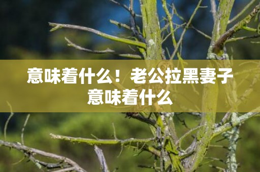 意味着什么！老公拉黑妻子意味着什么