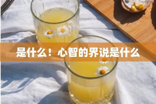 是什么！心智的界说是什么