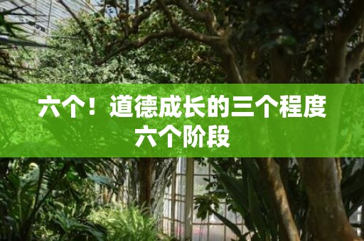六个！道德成长的三个程度六个阶段