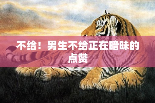 不给！男生不给正在暗昧的点赞