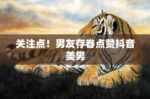 关注点！男友存眷点赞抖音美男
