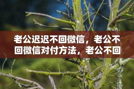 老公迟迟不回微信，老公不回微信对付方法，老公不回老婆微信是什么心态