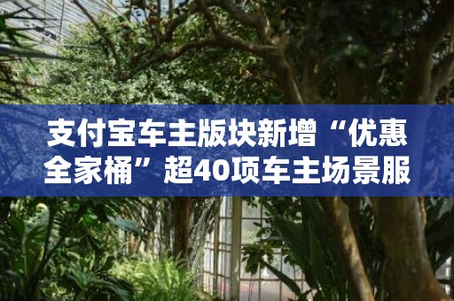 支付宝车主版块新增“优惠全家桶”超40项车主场景服务