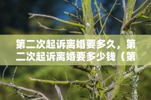 第二次起诉离婚要多久，第二次起诉离婚要多少钱（第二次起诉离婚需要多少钱）