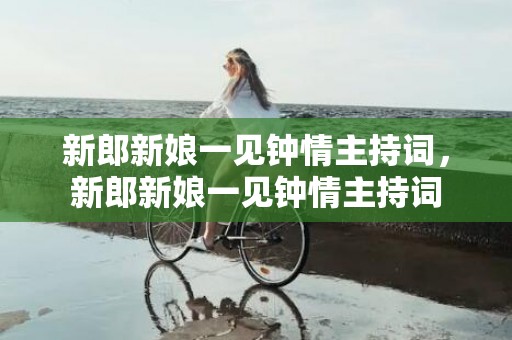 新郎新娘一见钟情主持词，新郎新娘一见钟情主持词