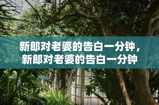 新郎对老婆的告白一分钟，新郎对老婆的告白一分钟