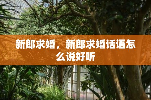 新郎求婚，新郎求婚话语怎么说好听