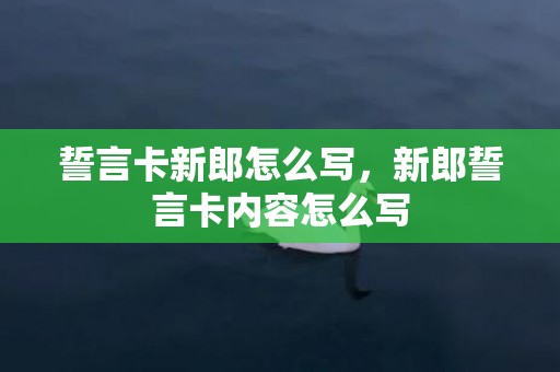 誓言卡新郎怎么写，新郎誓言卡内容怎么写