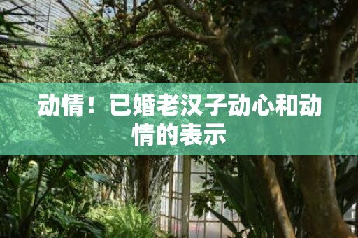 动情！已婚老汉子动心和动情的表示
