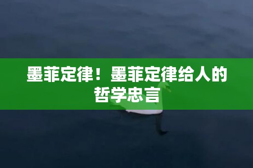 墨菲定律！墨菲定律给人的哲学忠言