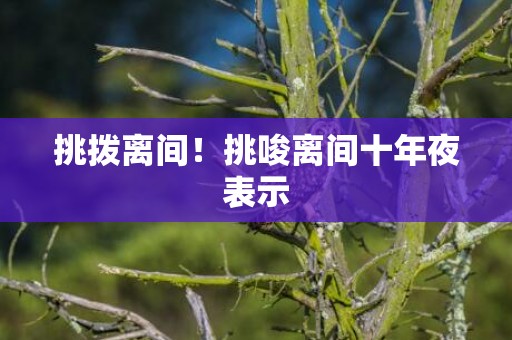 挑拨离间！挑唆离间十年夜表示