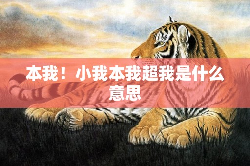 本我！小我本我超我是什么意思