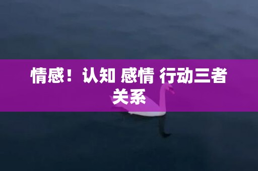 情感！认知 感情 行动三者关系