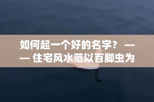 如何起一个好的名字？ —— 住宅风水范以百脚虫为启示(如何起一个好的名字女孩)