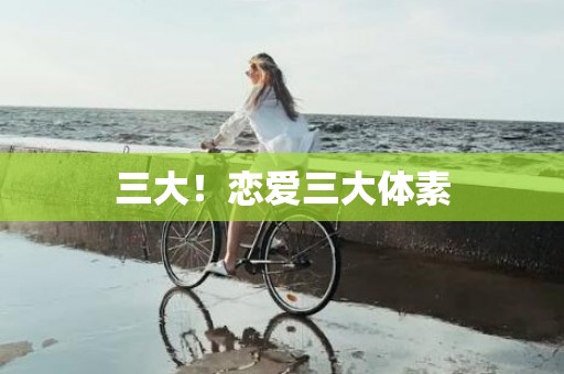 三大！恋爱三大体素