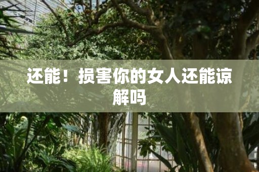 还能！损害你的女人还能谅解吗