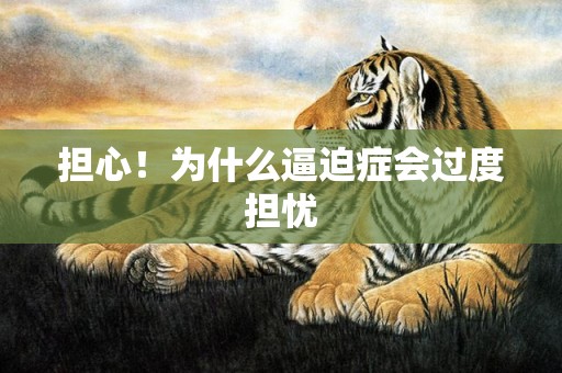 担心！为什么逼迫症会过度担忧