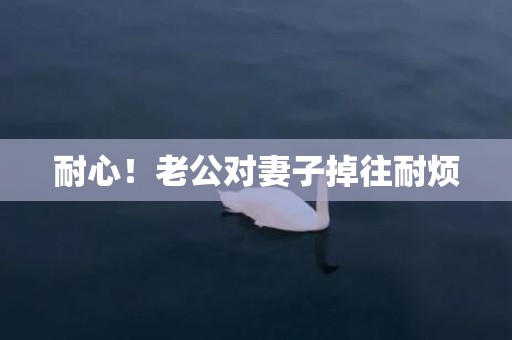 耐心！老公对妻子掉往耐烦