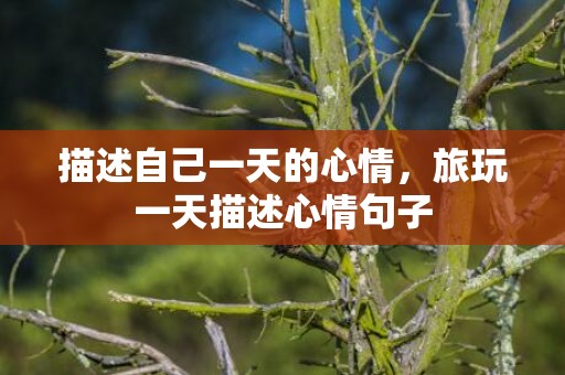 描述自己一天的心情，旅玩一天描述心情句子